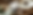 Untitled design (70).png