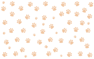 10001.png
