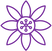 purple passion flower