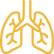 lungs.png