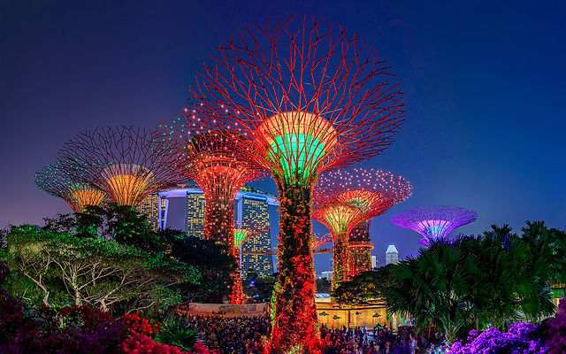 fd4184bac0c571b5b2807891af43d89f-Gardens by the Bay Light Show - World of Fantasy.jpg