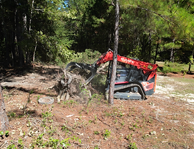 Kubota Skid Steer cleaning up trees and debris