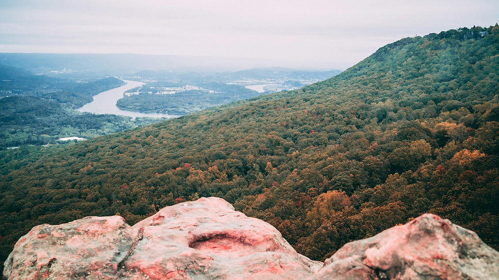 How to Make the Most of Living Near the Tennessee River
