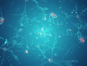 THE LONGEVITY REVOLUTION: HOW AUTHENTIC EXPERTS ARE RECLAIMING HEALTH AND WELLNESS