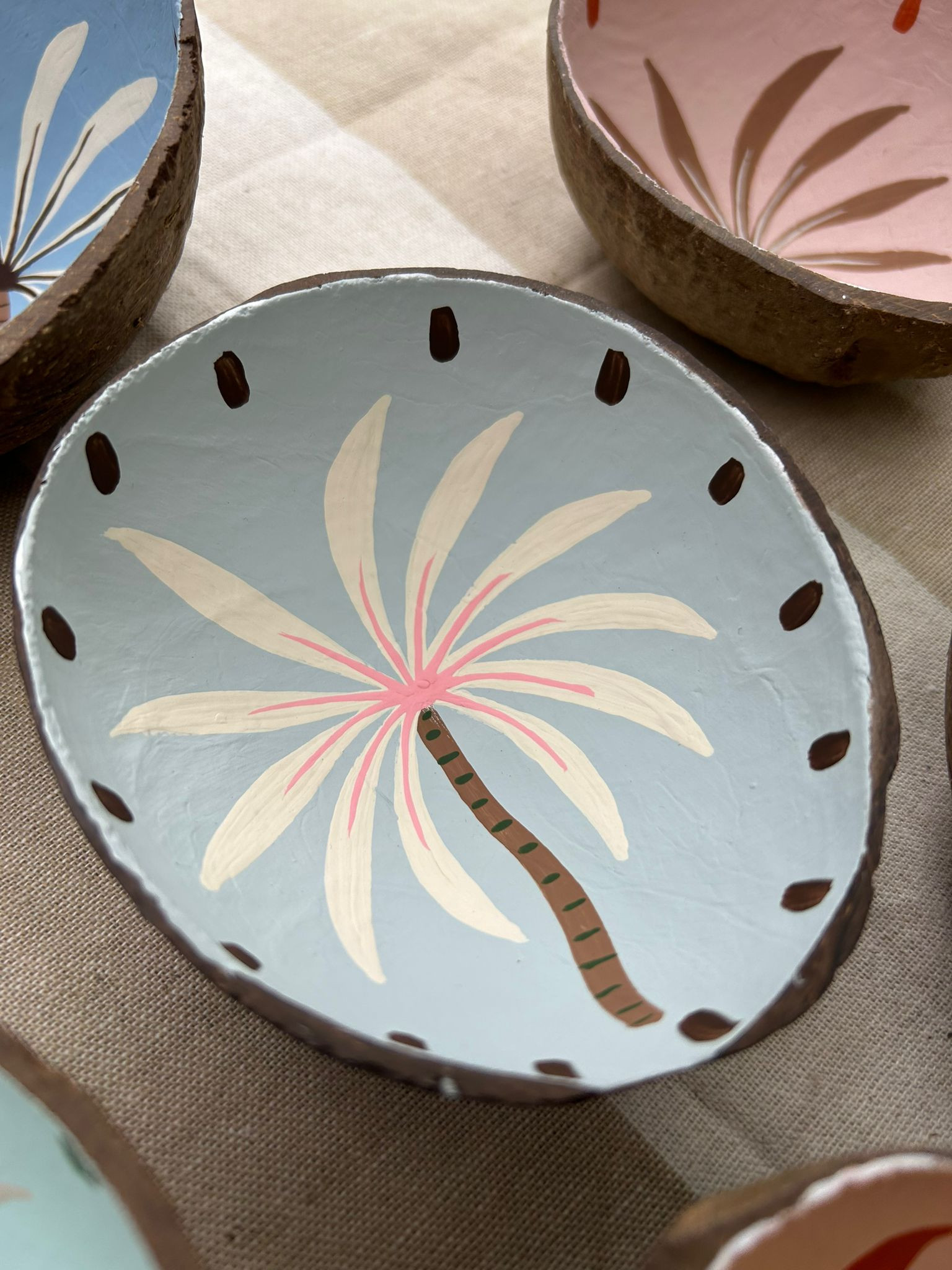 Coco Blue Palm tree