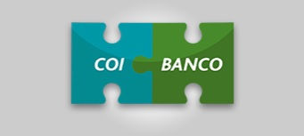 Interfaz COI  y BANCO