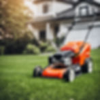 Lawnmower in yard