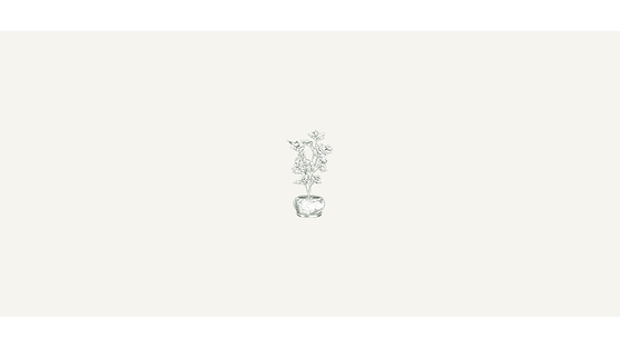 studio_courtneycox.com - 02.png