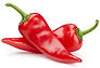 shutterstock_2727832581.jpg