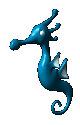 Seahorse Nice Contribution Art Free To Use