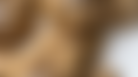 Gluten-free Oatmeal Walnut Chocolate Chip Cookies