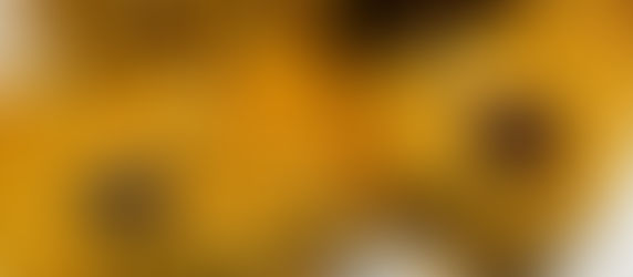 Gluten-free Orange Cranberry Oatmeal Squares