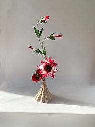 024_flora.jpg