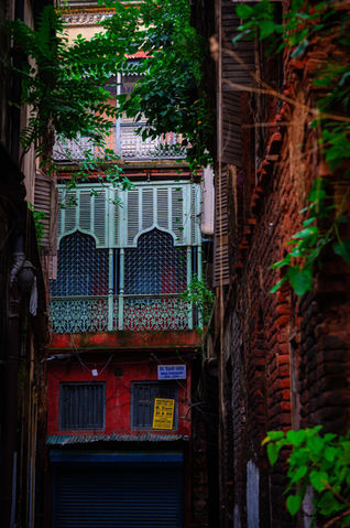 #UrbanExploration #HeritageHues #KolkataVibes #VintageArchitecture #CitySecrets #StreetsofIndia #InstaKolkata #TimeCapsule #ForgottenBeauty #LostInTime #IncredibleIndia #HiddenTreasures #ArchitecturalGems #CulturalHeritage #OldMeetsNew #PhotographersOfIndia #CityscapeLovers #RusticCharm #ExploringKolkata #TimelessTales