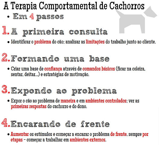 De acordo com o adestrador Raphael Linares, a terapia é feita por etapas, as quais buscarão uma melhor relação entre cão, dono e o meio social. Infográfico: Fernando Corilow.