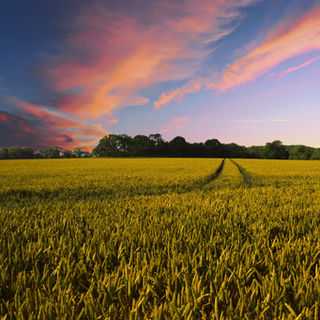 countryside-2326787.jpg