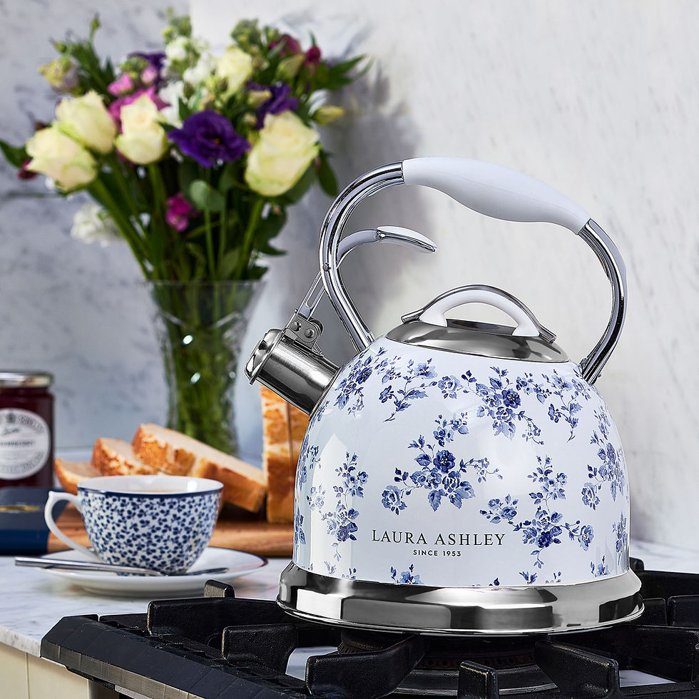 Laura Ashle Stovetop Kettle Wasserkocher für Herd mit 2.5L Fassungsvermögen / Aus lebensmittelechtem Edelstahl // Sale-Point.ch
