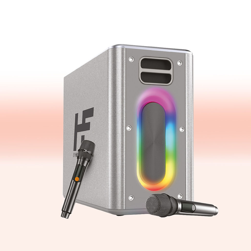 HiFuture MusicBox Silver BT Speaker / Lautsprecher / Soundbox / Karaokeanlage / mit 2 Mikrofonen // Sale-Point.ch