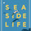 Miniature : SEA SIDE LIFE
