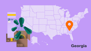 How to start a business in Georgia in 7  steps
