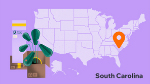 How to start a business in South Carolina in 7 steps