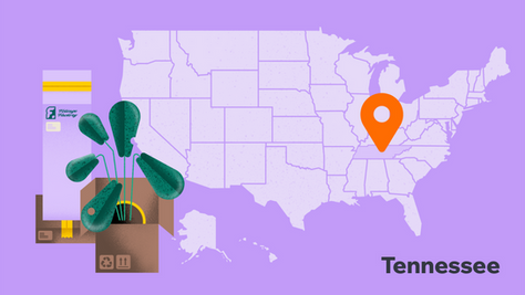 How to start a business in Tennessee in 7 steps