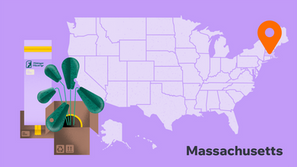 How to start a business in Massachusetts in 7 steps