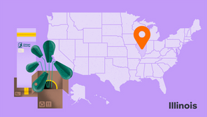 How to start a business in Illinois in 7 steps