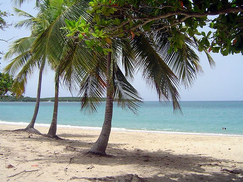 Vieques_SunBayBeach.jpg