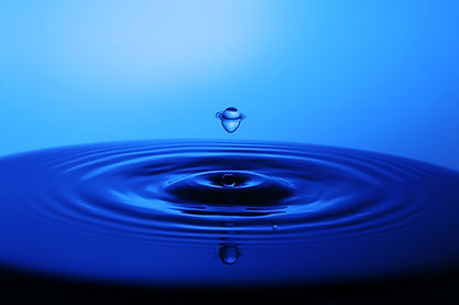 Canva - Water Dew Photogrpahy.jpg