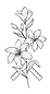 Lily Logo (1).png