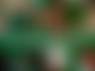 ☘️ Celebrate St. Patrick’s Day Responsibly — A Complete Safety Guide