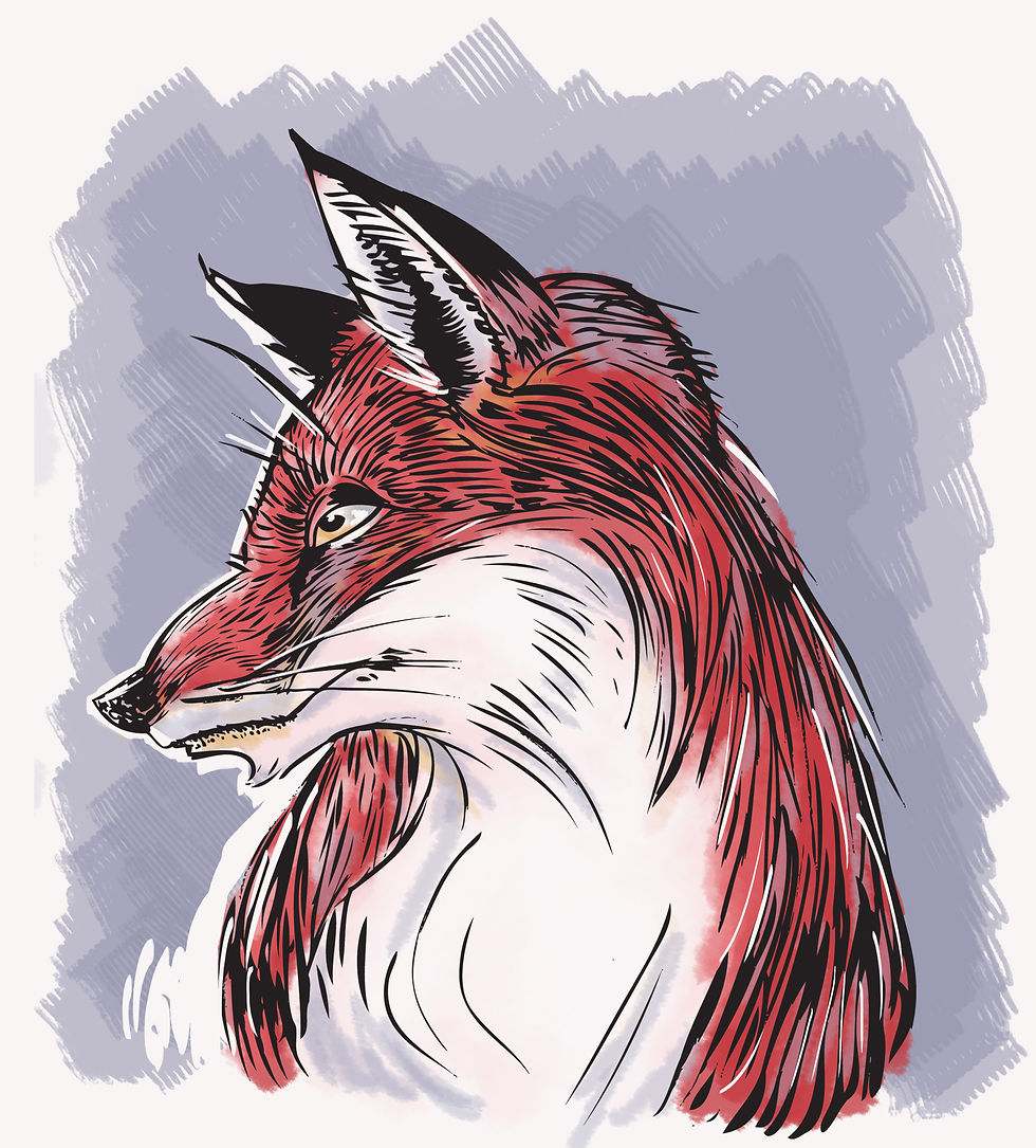 Wicklewood - Carolyn Richardson