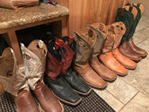 IMG_3900.jpeg