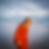 Screenshot 2025-06-20 at 12.51.59