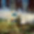 Screenshot 2025-06-20 at 12.48.34