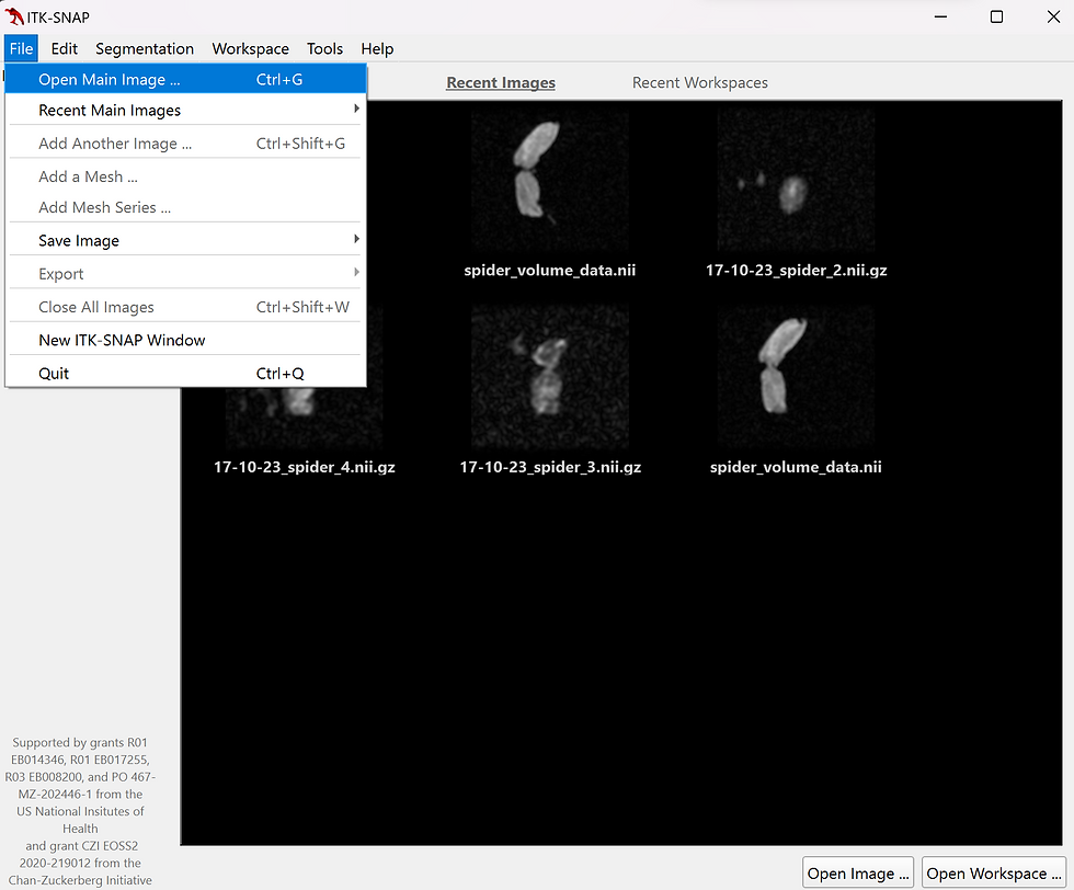 file drop down menu showing "Open Main Image" as the top option