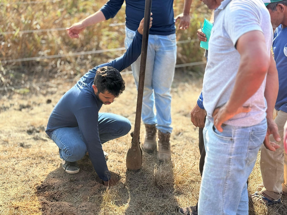 Formação em Manejo de Pastagem fortalece produção e mobilização comunitária no PAF Jequitibá