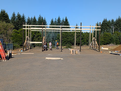 PXL_20250729_155944441.jpg