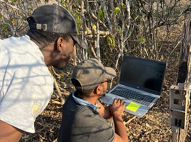 RNPC Camera Traps Survey Setup_July_2025 (15).JPG