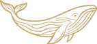Cabotravelboutiquelogo.png