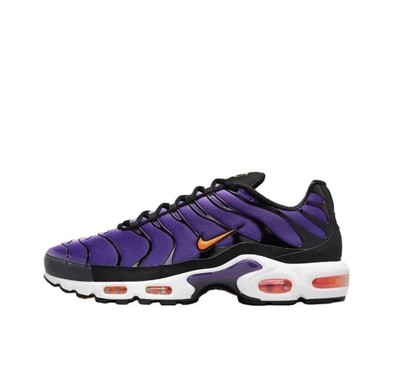 Purple black TN