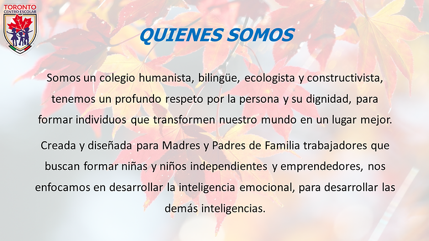 quienes somos.png