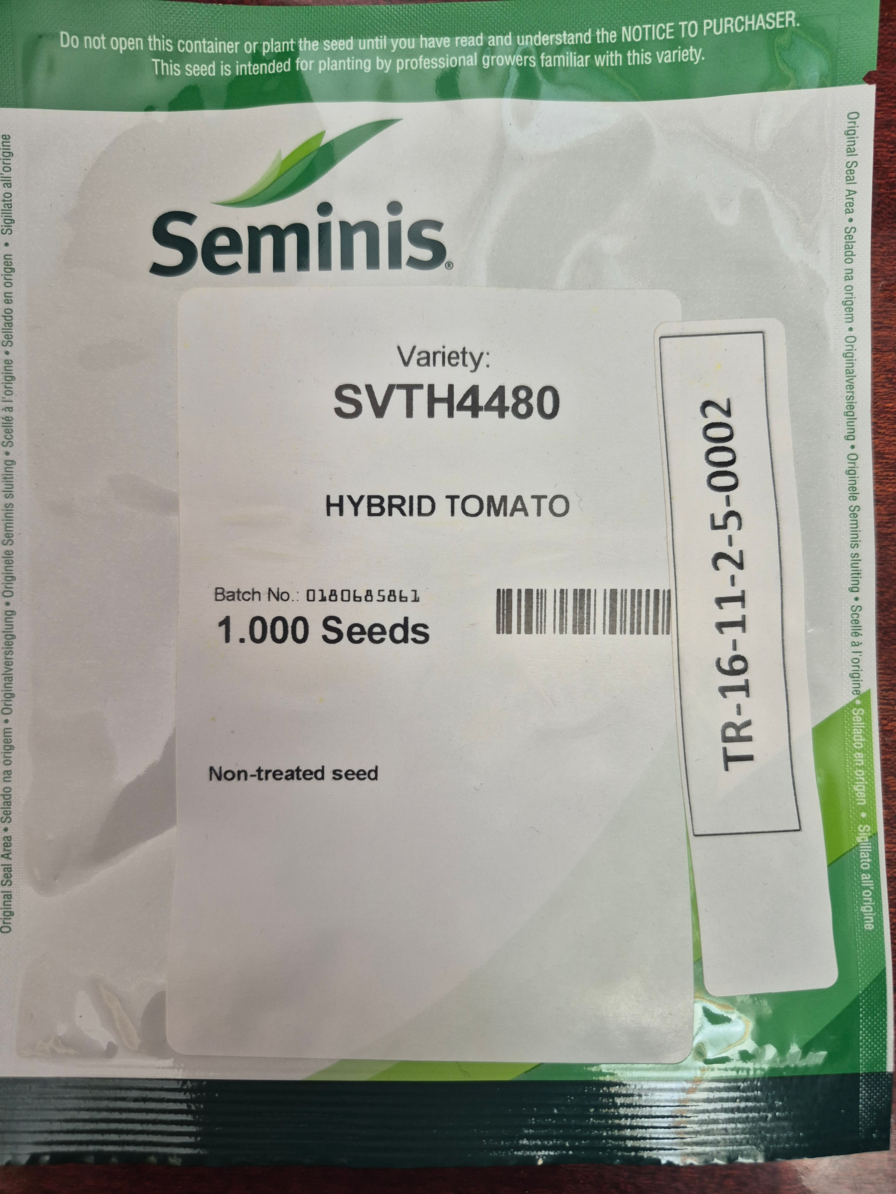 RANGER HİBRİT SIRIK DOMATES 1000 ADET