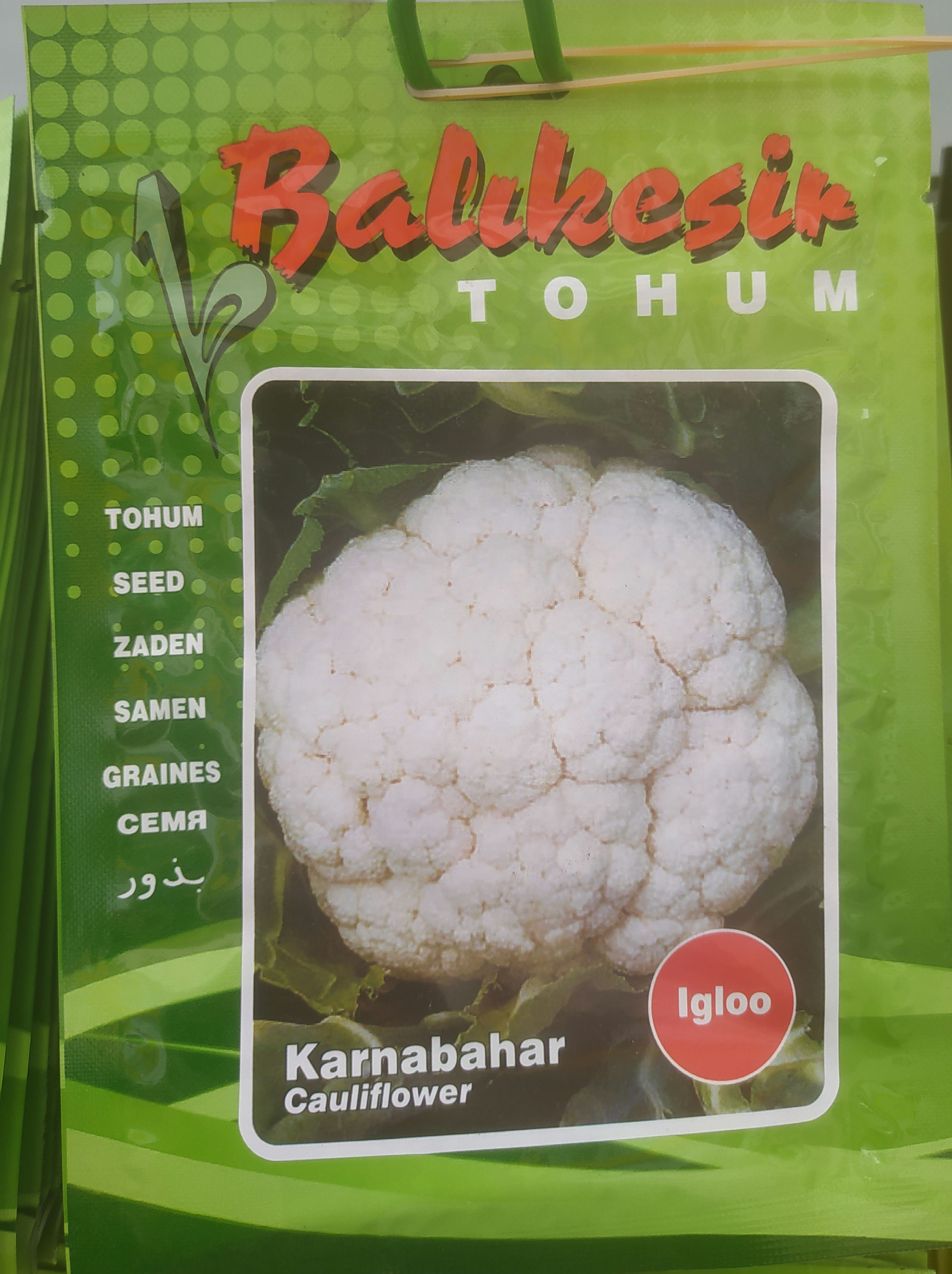 Balıkesir Tohum Karnabahar Igloo 