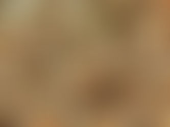 Termite Bating System 4