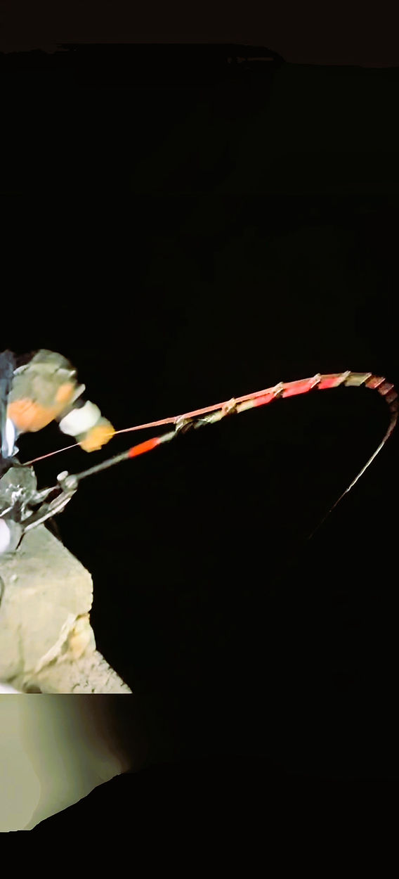 釣房エム インビクタス クエ竿4.8m 釣房エム インビクタス クエ竿4.8m 釣房エム インビクタス クエ竿4.8m