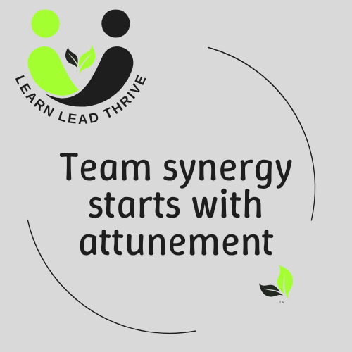 LLT logo with the statement - Team synergy starts with attunement