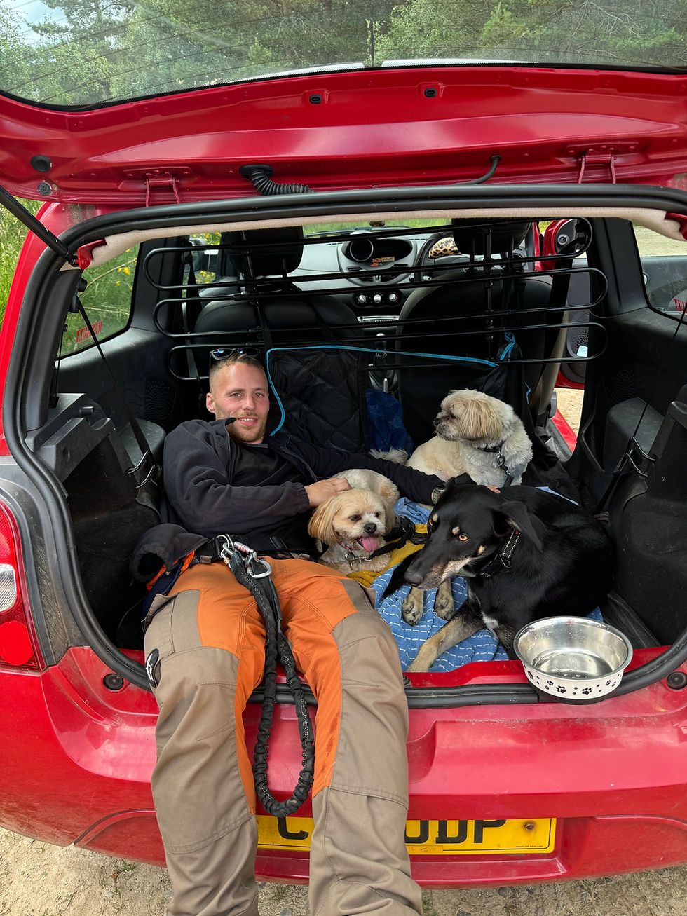 Safe and secure pet transport