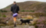 Highlands pet grooming